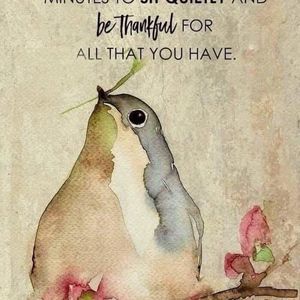 Meet your Posher, Toni